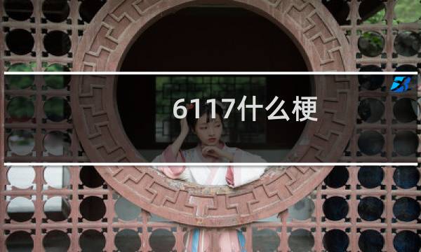 6117什么梗