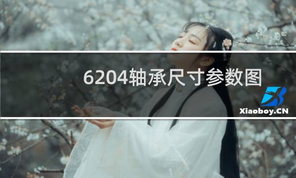 6204轴承尺寸参数图