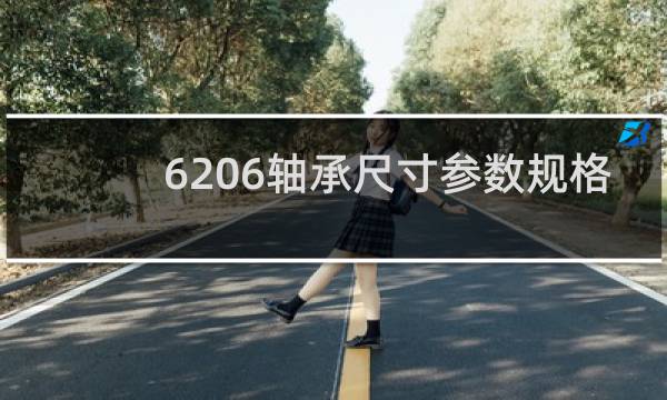 6206轴承尺寸参数规格