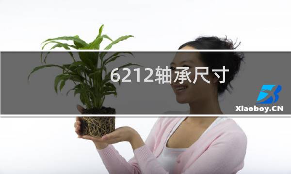6212轴承尺寸