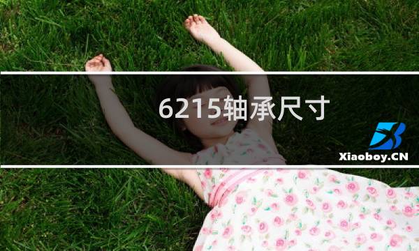 6215轴承尺寸