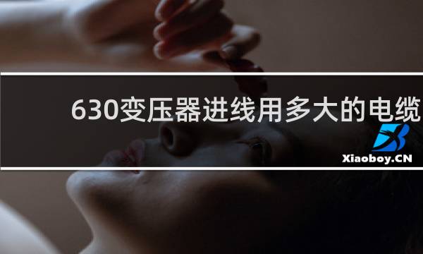 630变压器进线用多大的电缆