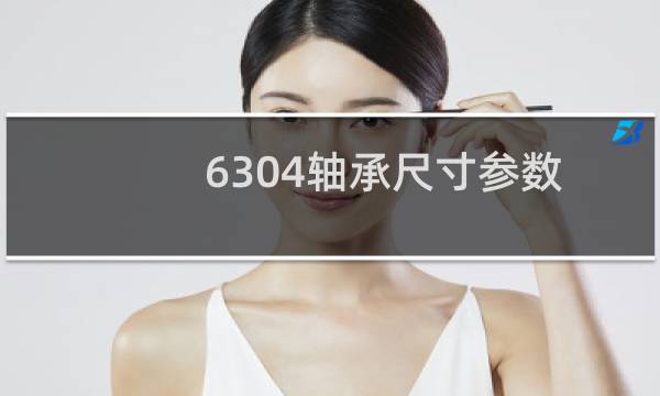 6304轴承尺寸参数