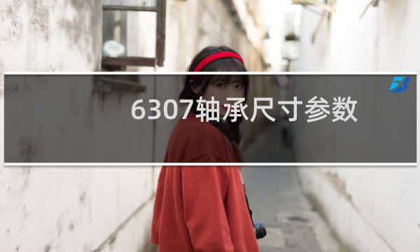 6307轴承尺寸参数
