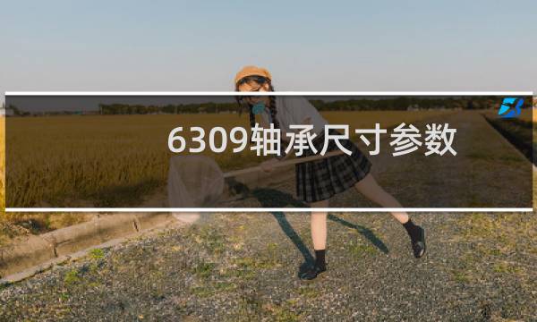 6309轴承尺寸参数