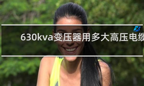 630kva变压器用多大高压电缆