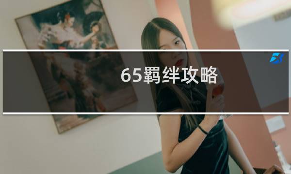 65羁绊攻略
