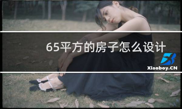 65平方的房子怎么设计图片