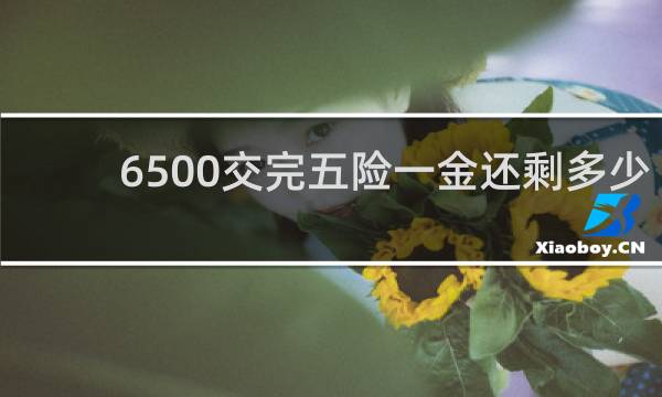 6500交完五险一金还剩多少图片