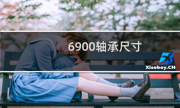6900轴承尺寸