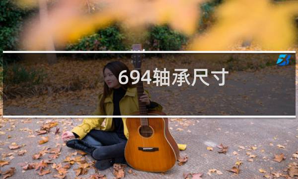 694轴承尺寸