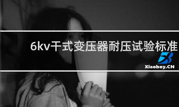 6kv干式变压器耐压试验标准