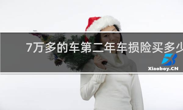 7万多的车第二年车损险买多少