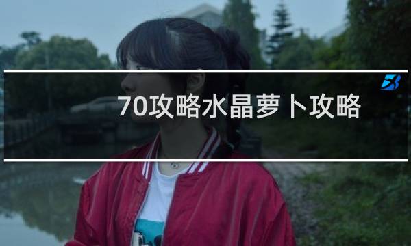70攻略水晶萝卜攻略