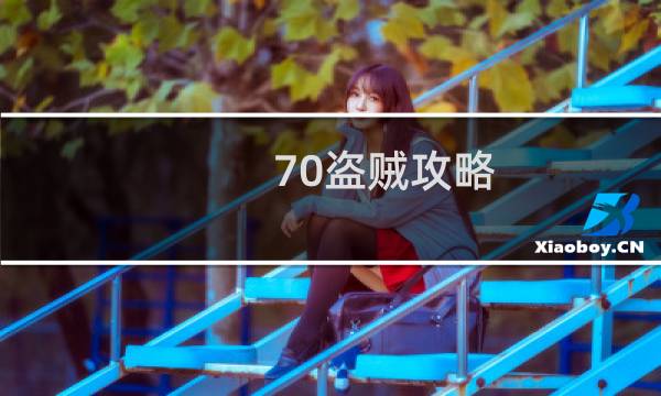 70盗贼攻略