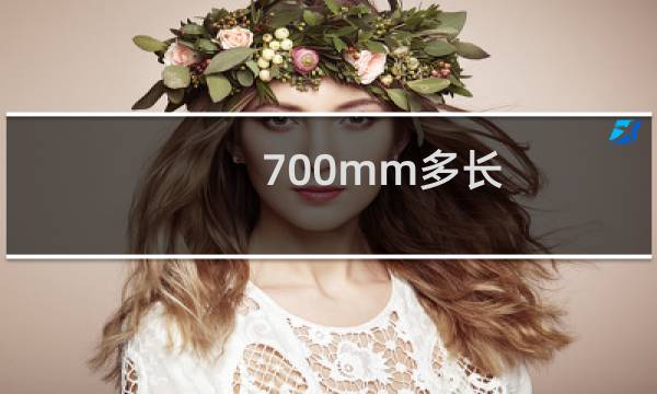 700mm多长