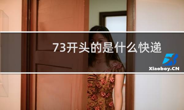 73开头的是什么快递