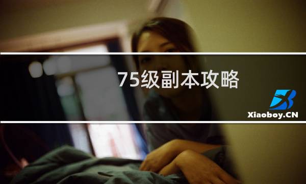 75级副本攻略