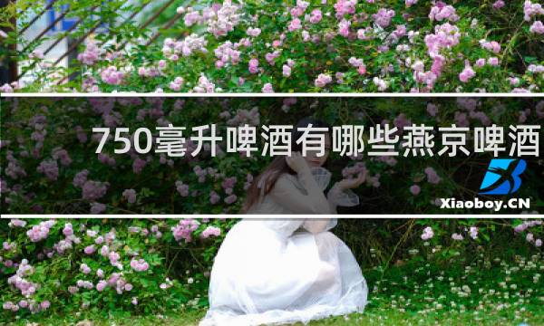 750毫升啤酒有哪些燕京啤酒