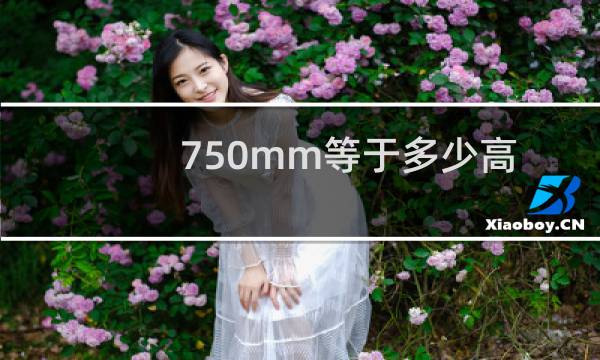 750mm等于多少高