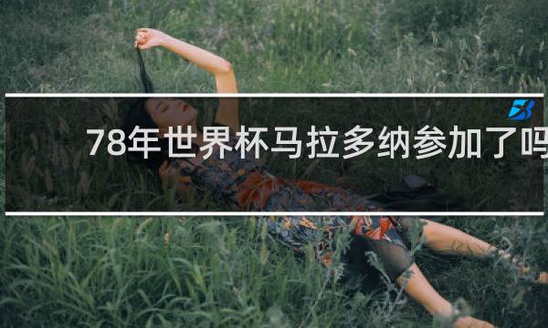 78年世界杯马拉多纳参加了吗