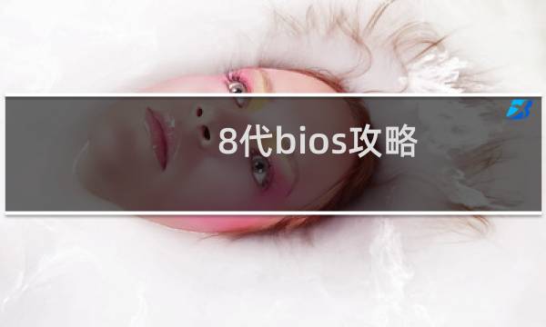 8代bios攻略