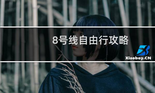 8号线自由行攻略