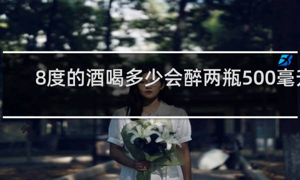 8度的酒喝多少会醉两瓶500毫升