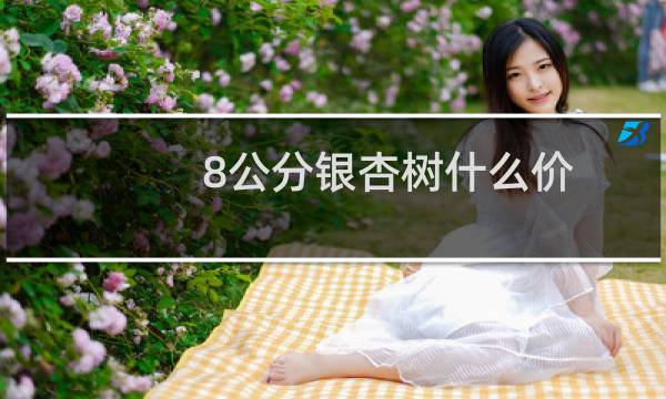 8公分银杏树什么价