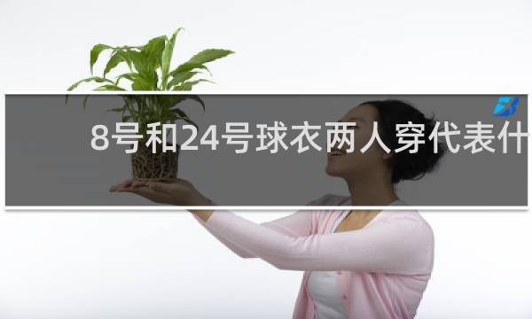8号和24号球衣两人穿代表什么