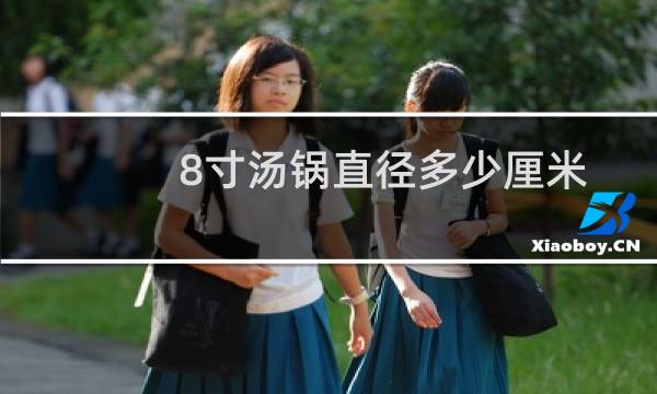 8寸汤锅直径多少厘米