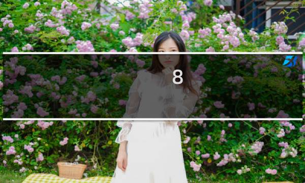 8.0狂徒贼攻略
