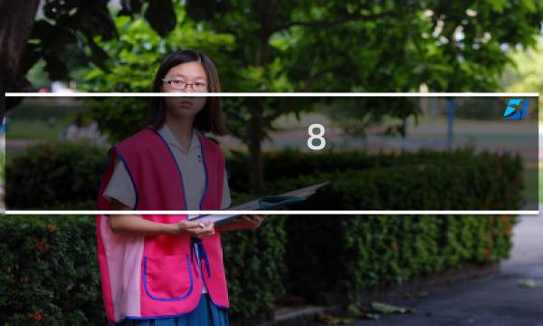 8.1炼金攻略