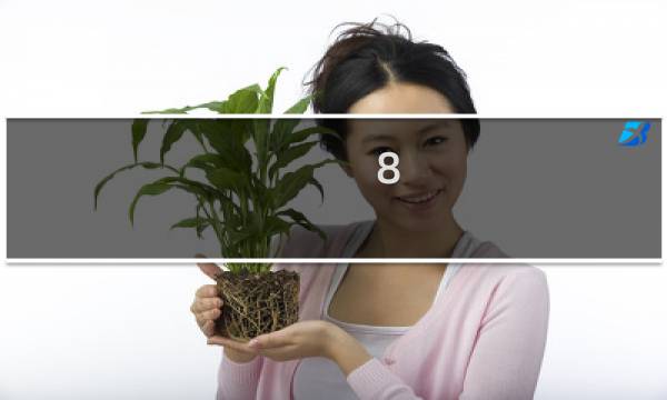 8.13妖姬攻略