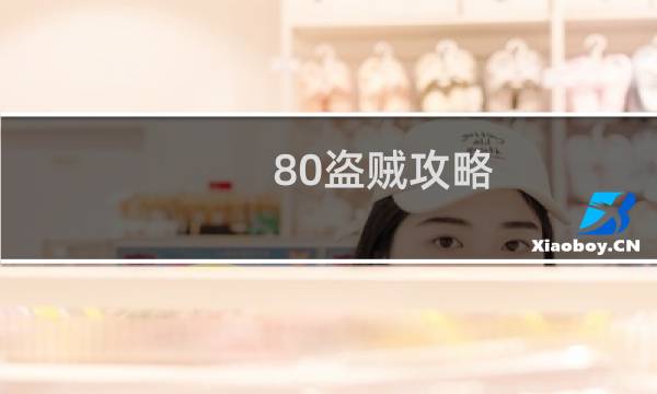 80盗贼攻略