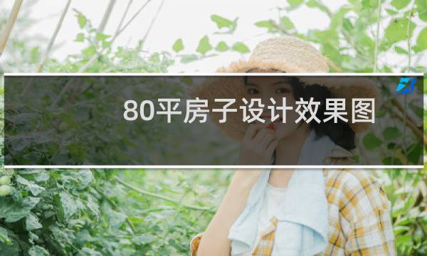 80平房子设计效果图图片
