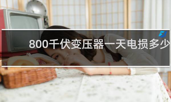 800千伏变压器一天电损多少