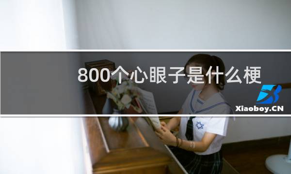 800个心眼子是什么梗