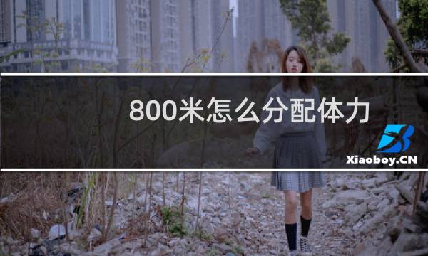 800米怎么分配体力