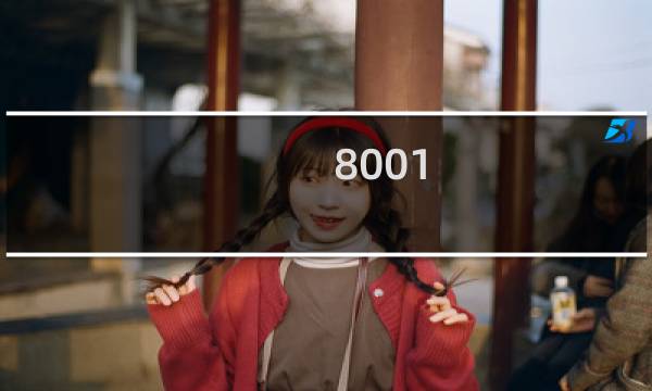8001 ll双冠价格
