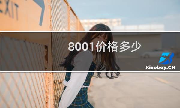 8001价格多少