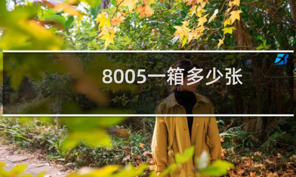 8005一箱多少张