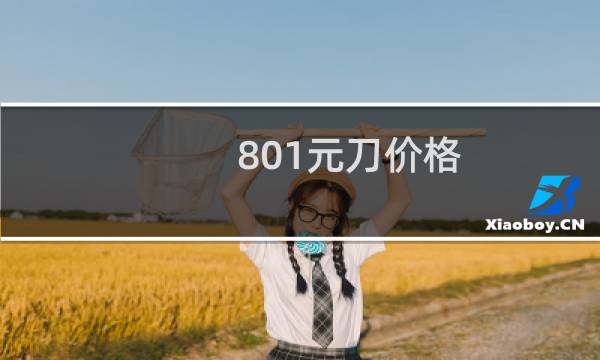 801元刀价格