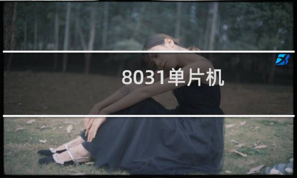 8031单片机