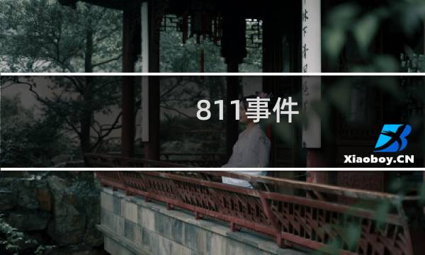 811事件图片