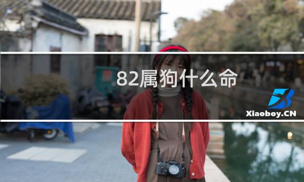 82属狗什么命