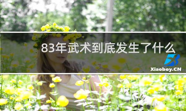 83年武术到底发生了什么