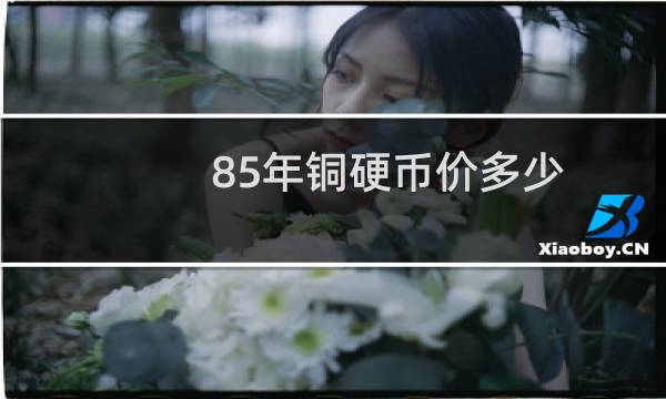 85年铜硬币价多少