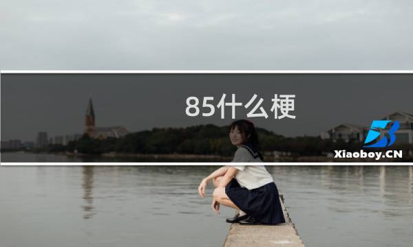 85什么梗