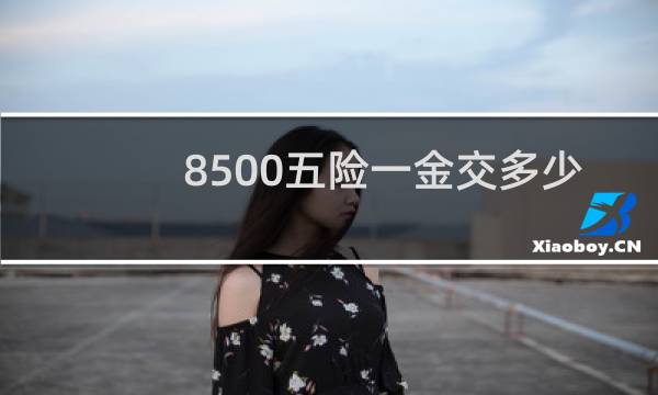 8500五险一金交多少